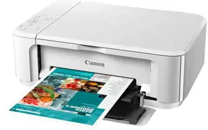 Canon PIXMA MG3650S WH