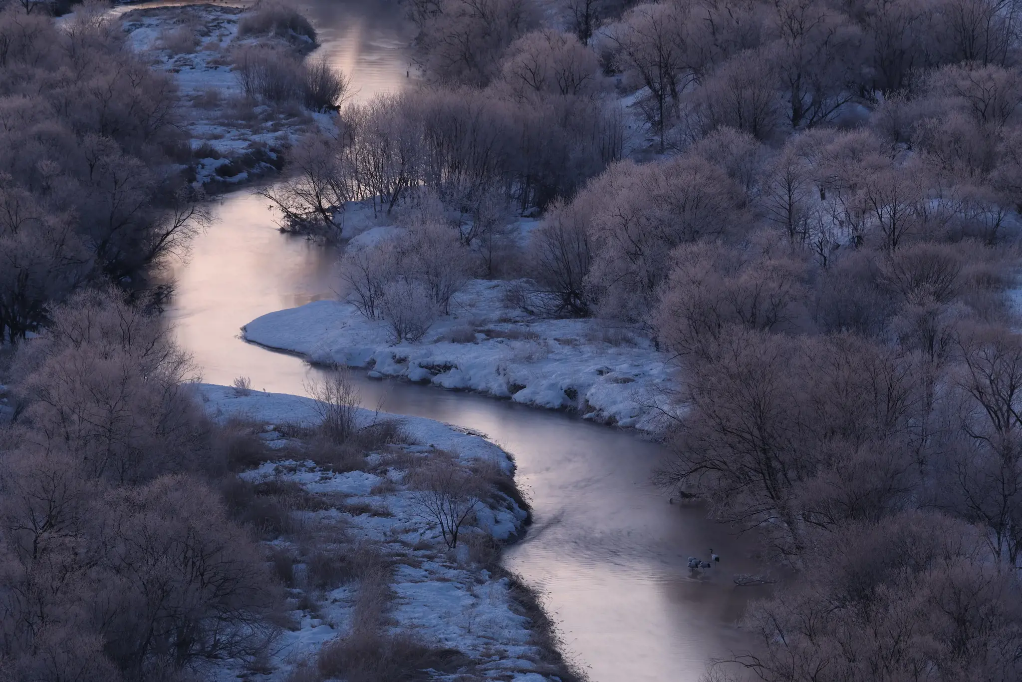 "Canon EOS R7" + RF-S 18-150 mm IS STM, 32,5 MP, 6960 x 4640 taškų, CMOS, 4K Ultra HD, jutiklinis ekranas, juoda