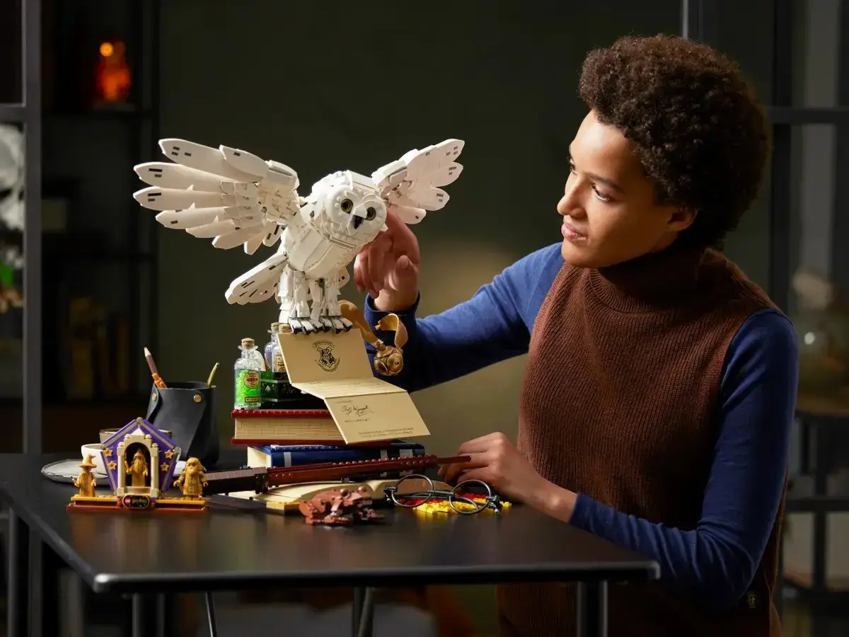 LEGO HARRY POTTER 76391 HOGVARTSO IKONOS - KOLEKCINIS LEIDIMAS