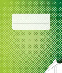 Sąsiuvinis, A5, langeliais, 12 lapų, 100gsm, su paraštėmis iš abiejų pusių