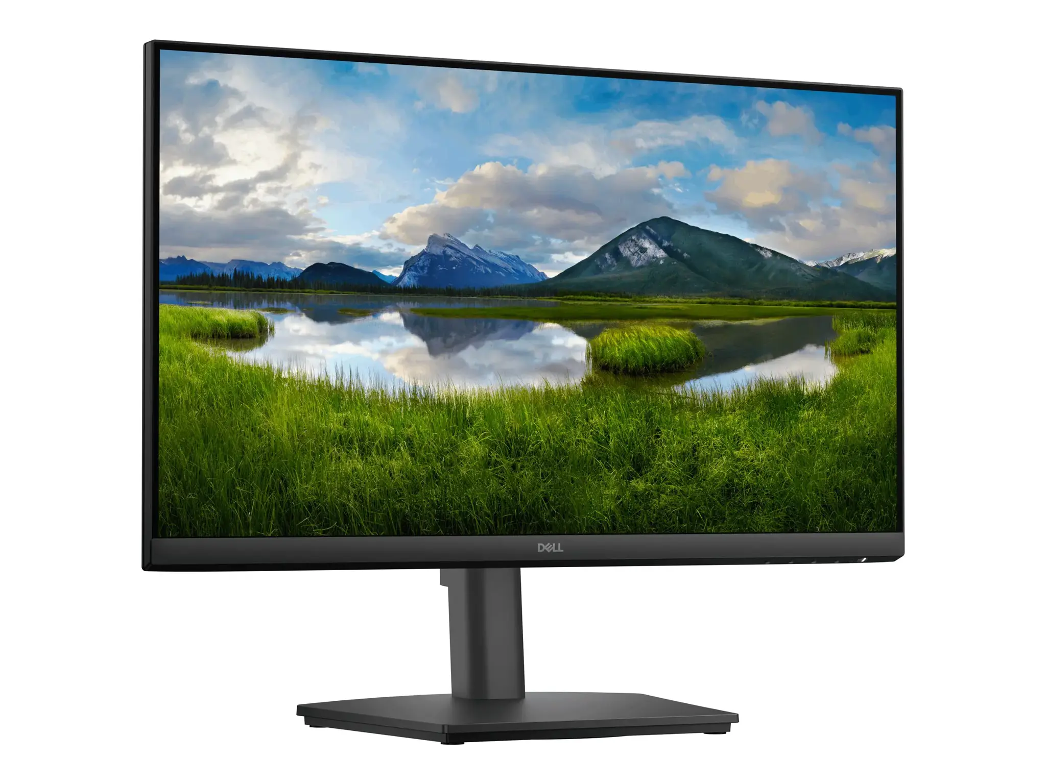 Dell Pro 24 Adjustable Stand Monitor - E2425HSM, 60.47cm (23.8")