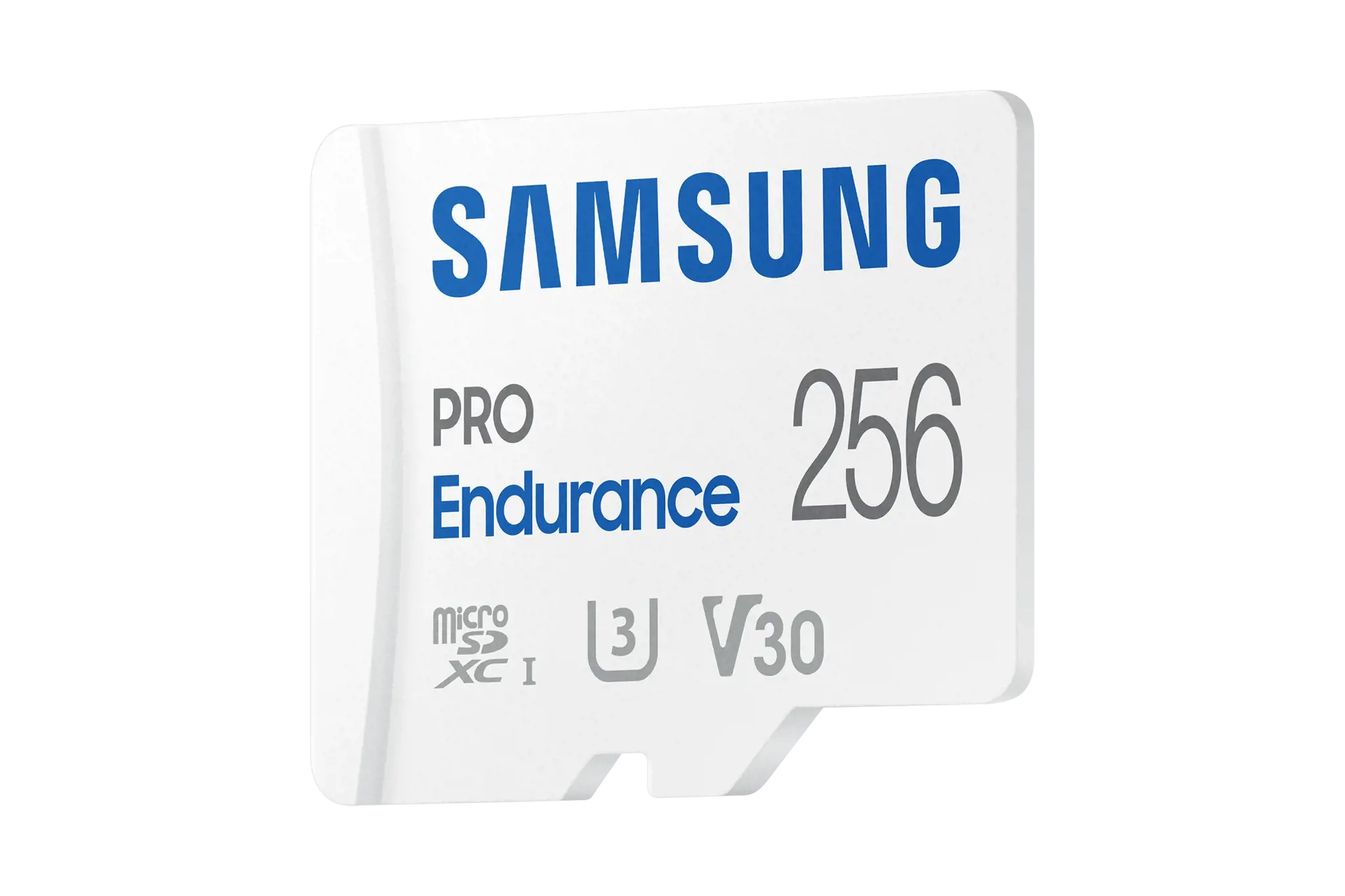 "Samsung" MB-MJ256K, 256 GB, "MicroSDXC", 10 klasė, UHS-I, 100 MB/s, 40 MB/s