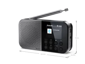 Sharp DR-P520(GY) OSAKA Pocket/Handheld Portable Digital Radio, Grey | Sharp