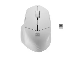 NATEC belaidė pelė Siskin 2 1600DPI Bluetooth 5.0 + 2.4Ghz balta