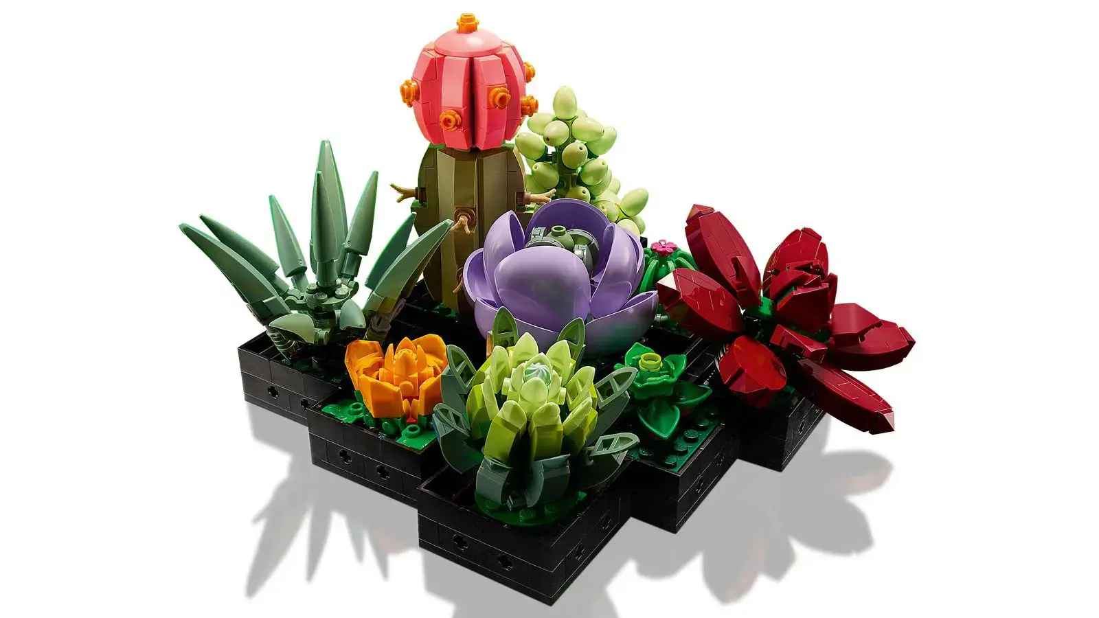 LEGO IKONOS 10309 SUKULENTAI