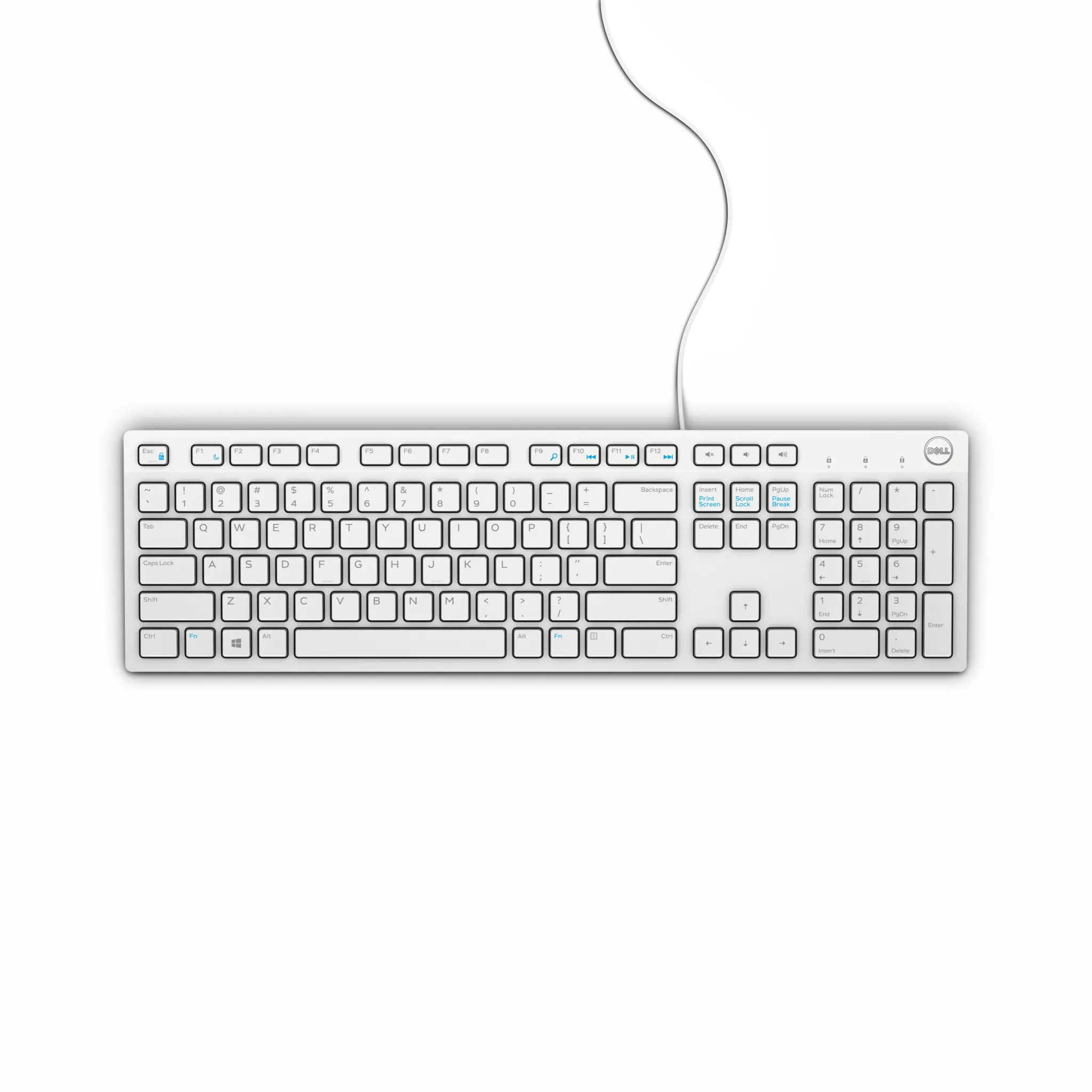 DELL KB216, pilno dydžio (100 %), USB, QWERTY, balta