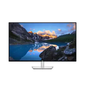 DELL UltraSharp U4323QE, 109,2 cm (43"), 3840 x 2160 taškų, 4K Ultra HD, LCD, 8 ms, sidabrinės spal…