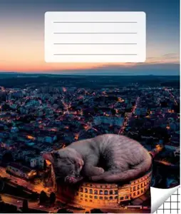 Sąsiuvinis langeliais, 36 lapai. Vidinių lapų gramatūra – 90 g/m2.