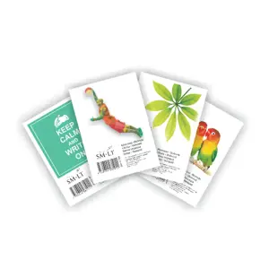 Bloknotas, plėšomas SMLT, A6/50, langeliais  0723-007