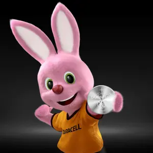 Baterijos DURACELL 2025, 2vnt.