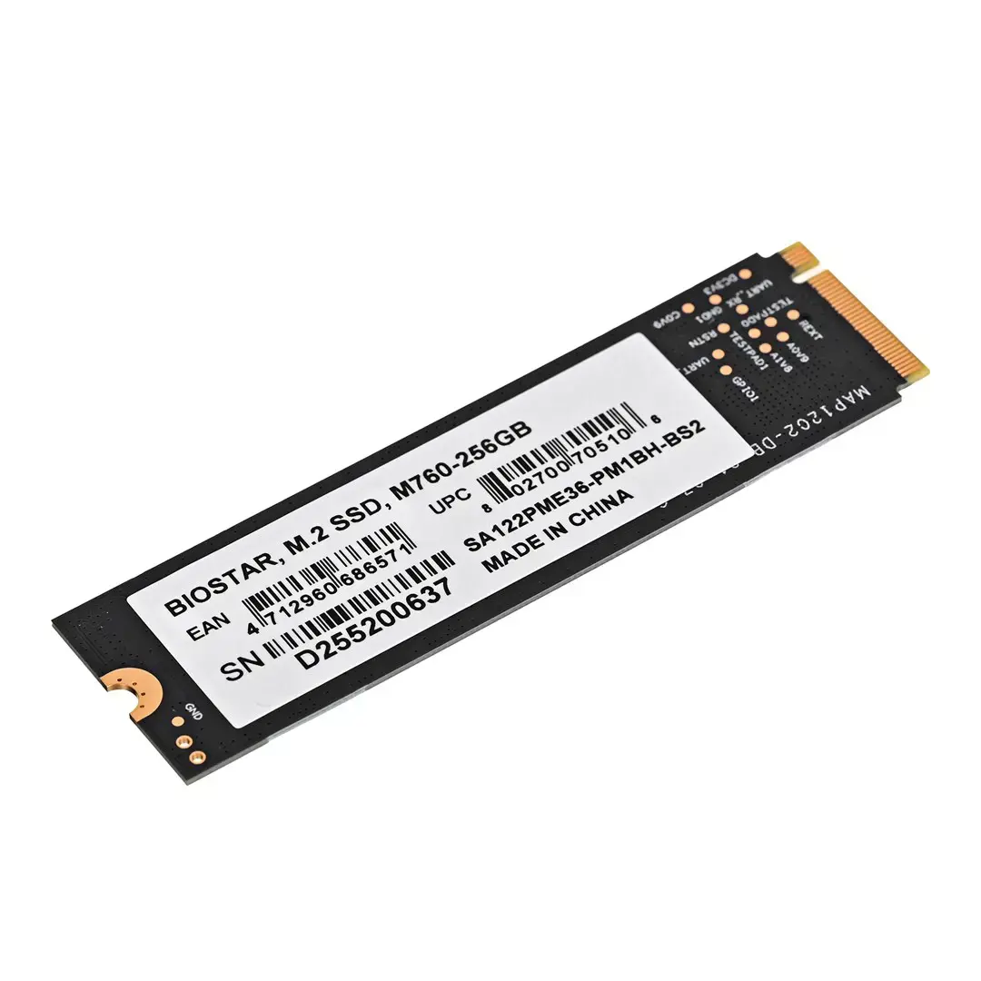 SSD diskas BIOSTAR SA122PME36 256 GB, M.2, PCIe Gen3x4