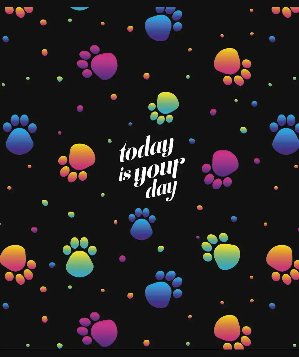 Sąsiuvinis Schoolboy, 48 lapų, langeliais, B5, 60 gsm