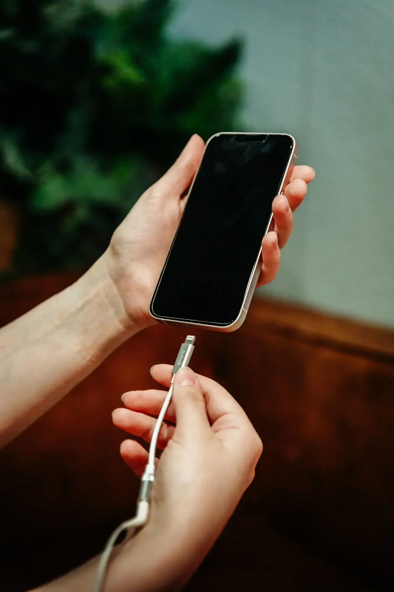 D-Fruit adapter Lightning- 3,5mm DF127