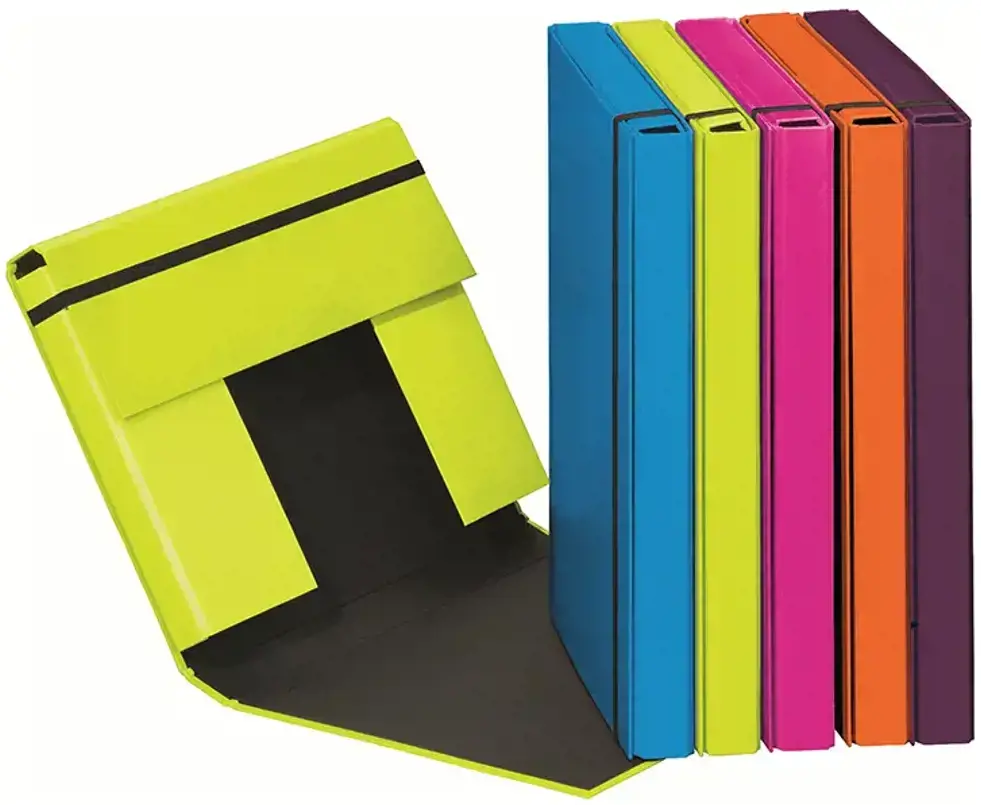 Dėžutė-dėklas dokumentams, sąsiuviniams PAGNA, A4, su gumele