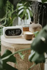 Alarm clock ADLER AD 1186 white