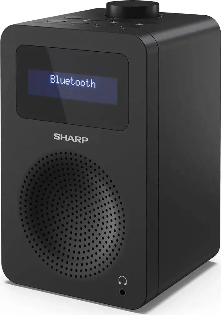 Sharp DR-430, asmeninis, skaitmeninis, DAB, DAB+, FM, 5 W, AAC, LCD