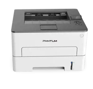 Pantum P 3010DW