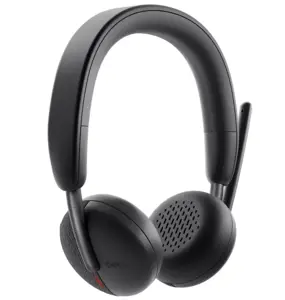 AUSINĖS WL3024 WRL/520-BBDG DELL
