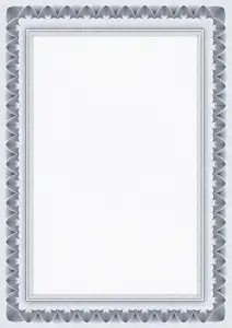 Dipl.popierius 170g Arkady N
