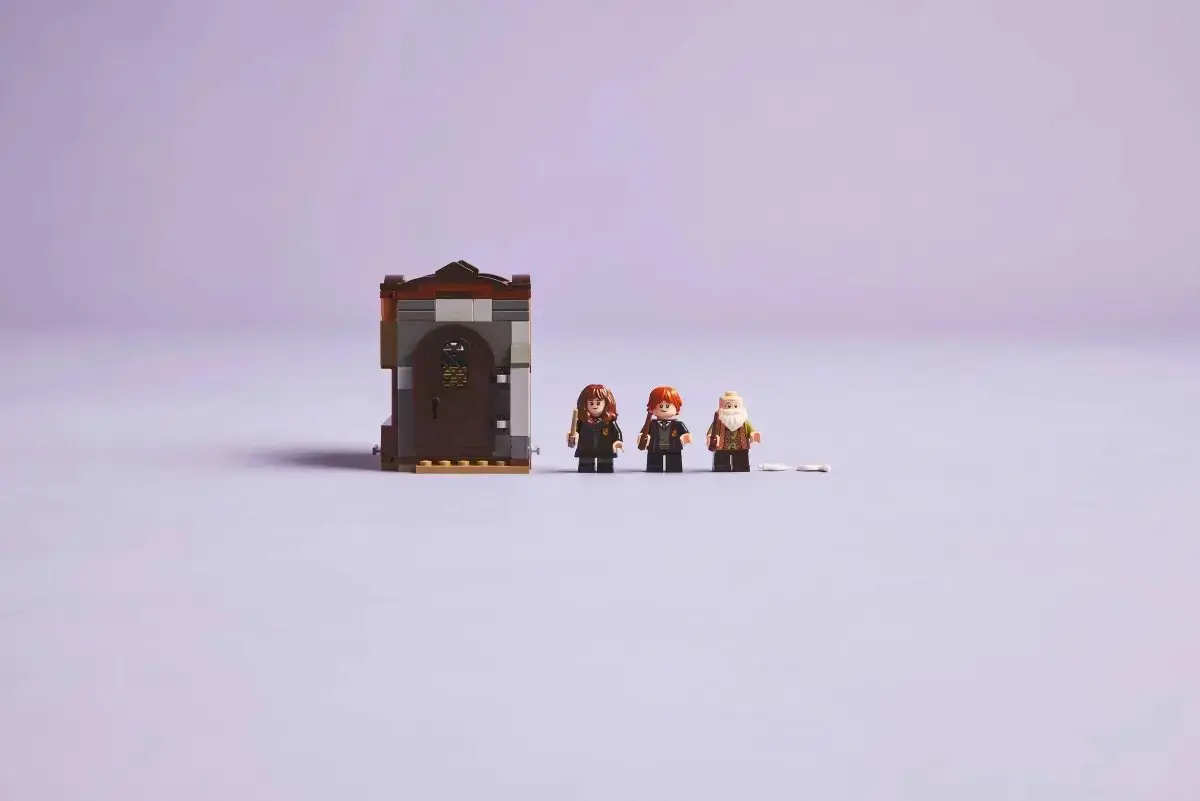 LEGO HARRY POTTER 76442 Hogwarts Castle - Charms Class