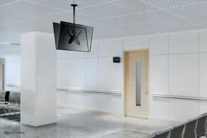 "Neomounts by Newstar" televizoriaus/monitoriaus laikiklis ant lubų, 50 kg, 81,3 cm (32"), 190,5 cm (75"), 400 x 400 mm, aukščio reguliavimas, juodas